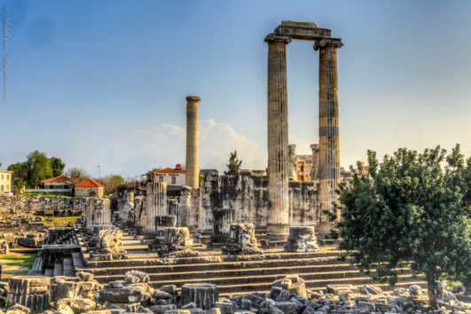 Templo de Apollo, Didima