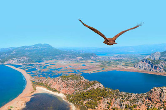 Tour a dalyan desde Bodrum