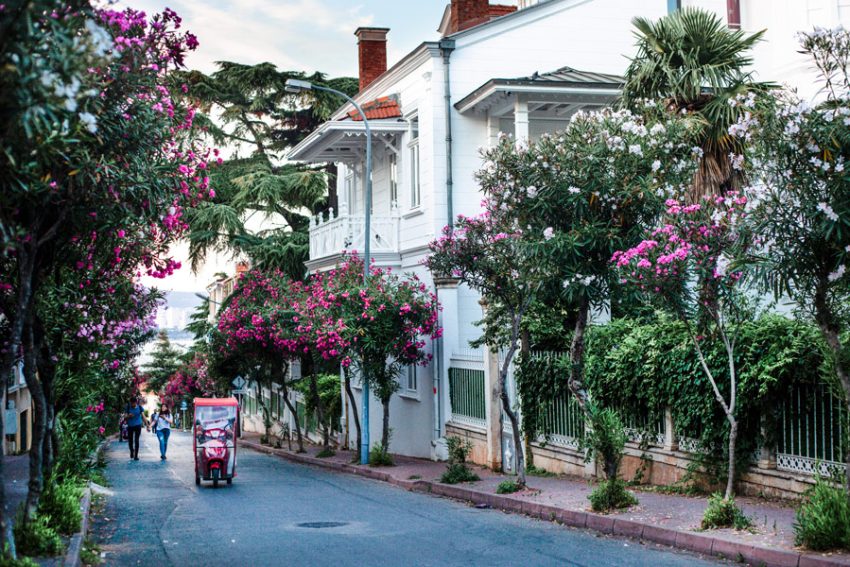 tour-a-islas-principe (3) Excursión de un día a las Islas Príncipe con salida desde Estambul, que incluye un guía turístico por las calles de Büyükada. El recorrido incluye mansiones históricas de madera, calles de la isla bordeadas de buganvillas y adelfas, rutas en vehículos eléctricos por las islas, turismo costero y destinos vacacionales de verano en Turquía.