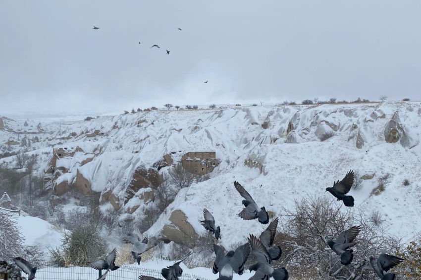 El paisaje invernal de Capadocia; una escena natural espectacular con chimeneas de hadas cubiertas de nieve y una gran bandada de palomas volando sobre el valle.